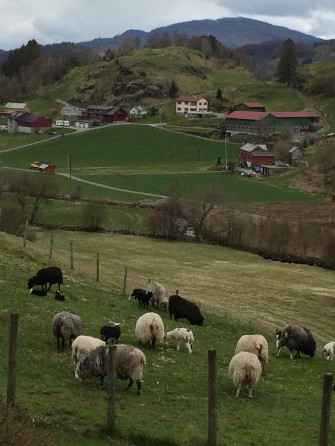 Skjerping Gardshus, Villa Lonevag Luaran gambar